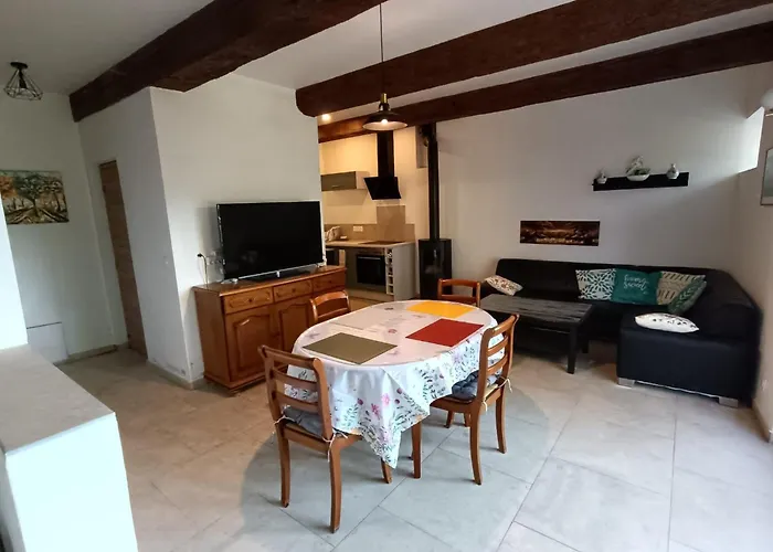 Chateau De Prax Viel - Piscine Et Mini Ferme, Climatise * Lagrasse